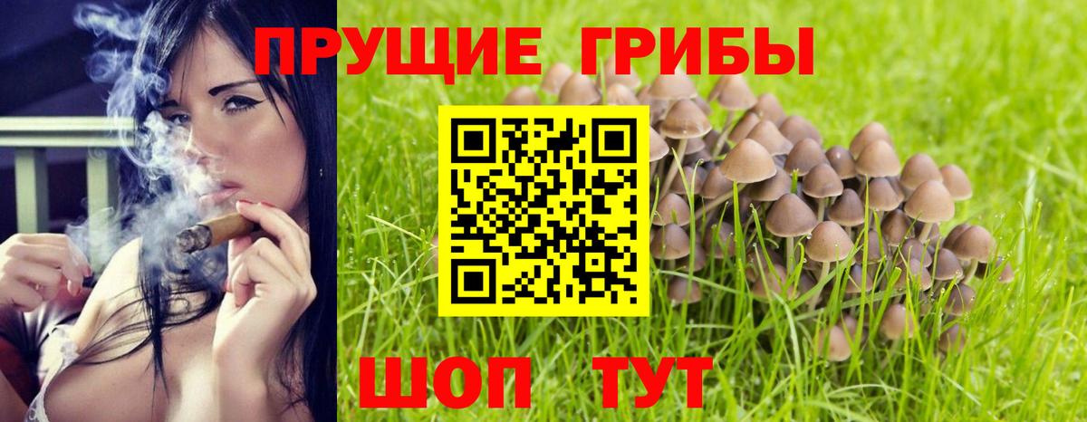 Псилоцибиновые грибы прущие грибы  Галлюциногенные грибы Psilocybe  Вход с VPN  Ишимбай 