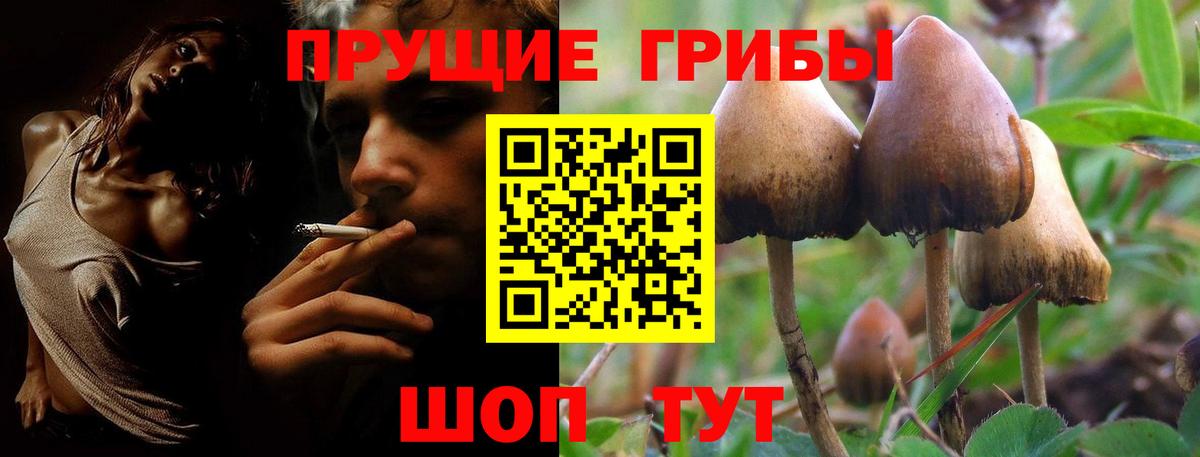 Псилоцибиновые грибы ЛСД Ишимбай